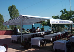 t model mafsalli
